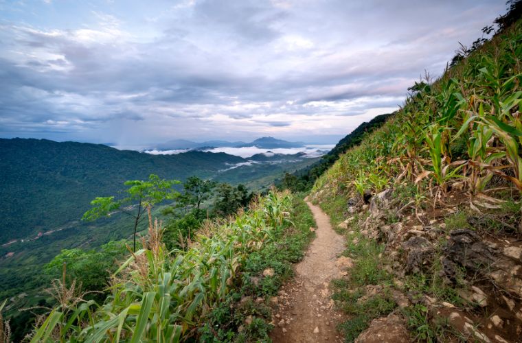 Evara Boutique Hotel